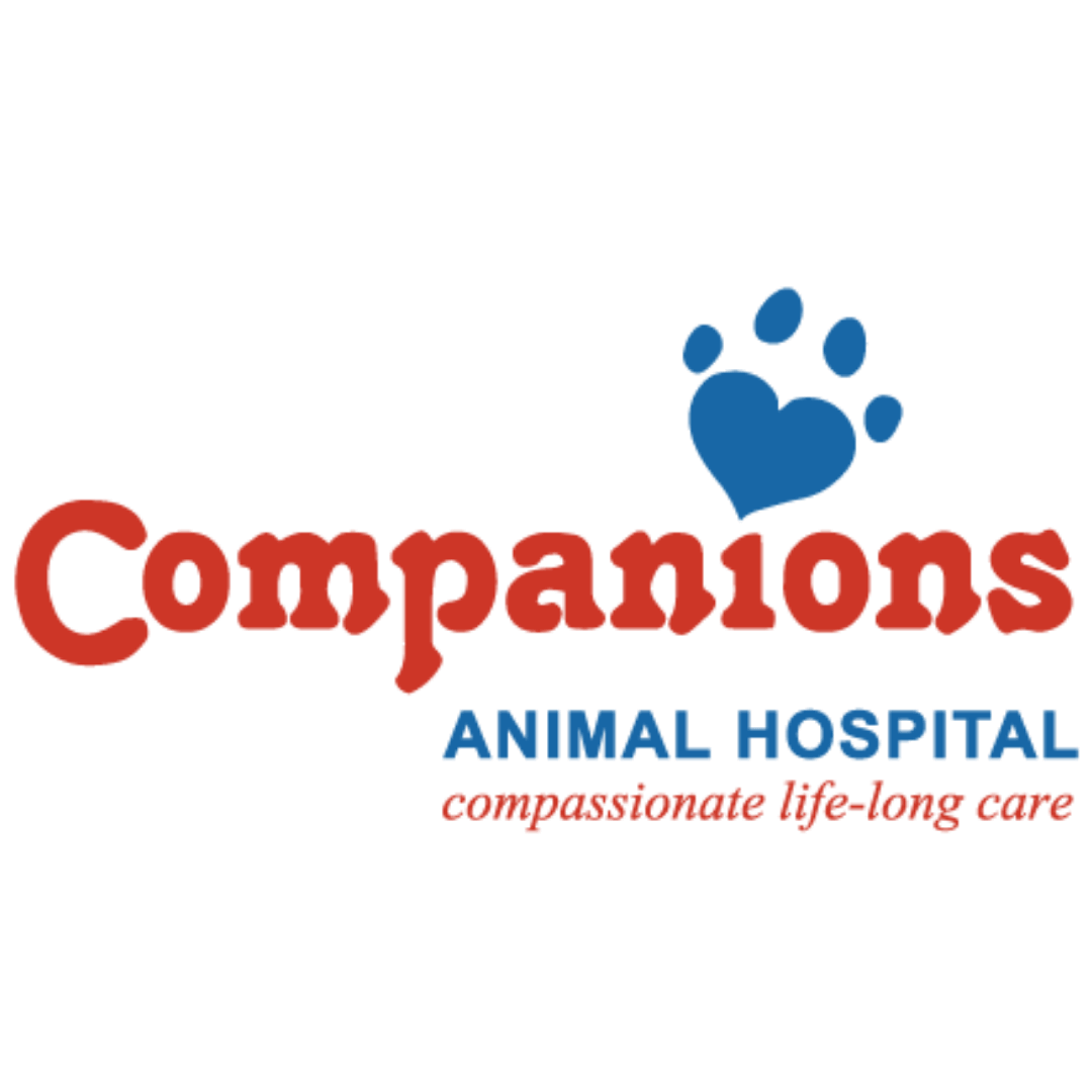 Explore Our Animal Hospitals, Practices and More Lakefield Veterinary